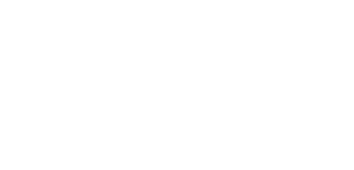 Eagles Roller Sports Club winged eagle